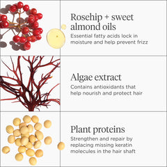 Briogeo Dont Despair, Repair! deep conditioning mask