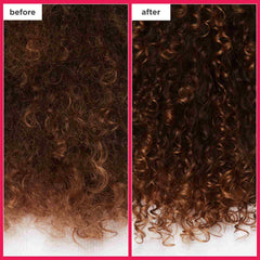 Briogeo Don't Despair, Repair! rice protein + algae rick rice water shampoo concentrate 3 fl. oz.