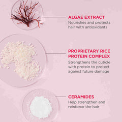 Briogeo Don't Despair, Repair! rice protein + algae rick rice water shampoo concentrate 3 fl. oz.