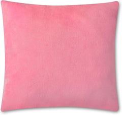 iscream FRENCHIE CHENILLE PILLOW