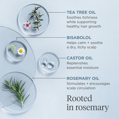 Briogeo Scalp Revival rosemary pre-wash oil 3.4 fl. oz.