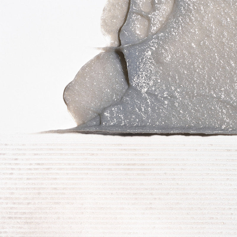 Briogeo Scalp Revival charcoal + coconut oil micro-exfoliating shampoo 8 fl. oz.