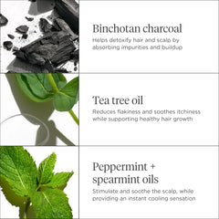 Briogeo Scalp Revival charcoal + tea tree scalp treatment drops 1 fl. oz.