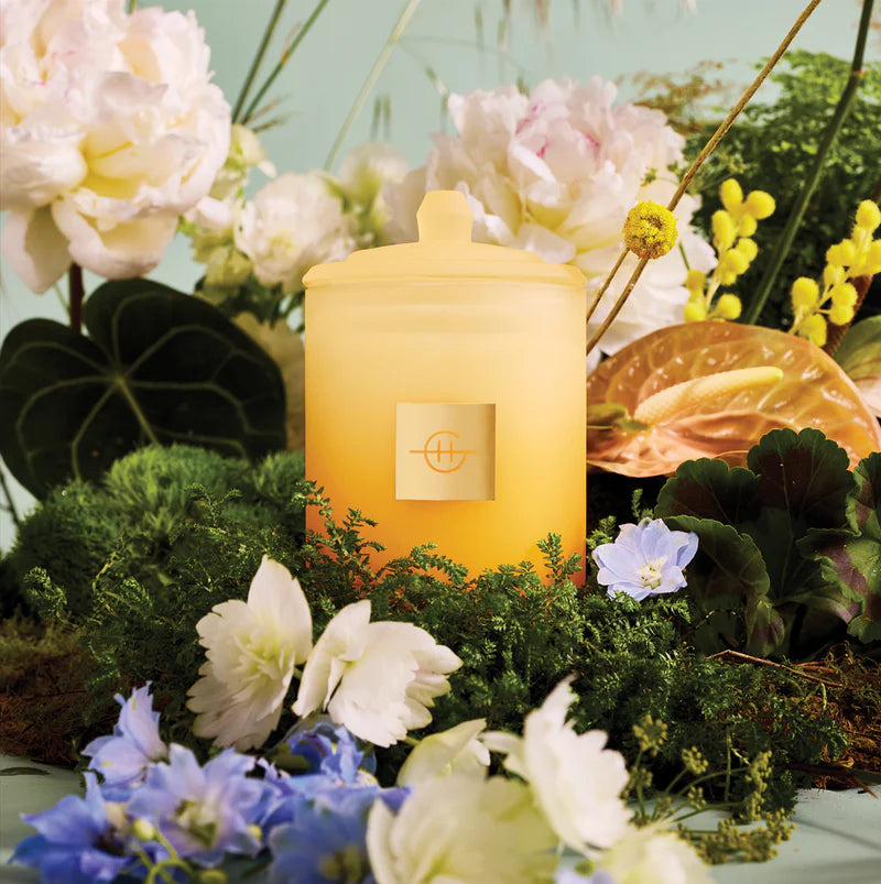 GLASSHOUSE FRAGRANCES FLOWER SHOW CANDLE (LIMITED EDITION 2026) 13.4 OZ