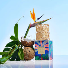 GLASSHOUSE FRAGRANCES Lagoon Afternoon Candle 13.4 OZ