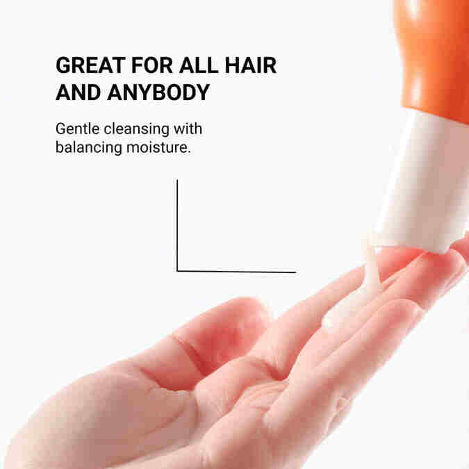 LOMA Daily Shampoo Lightweight for Everyday Use 12 FL OZ