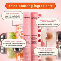 amika mirrorball high shine + protect antioxidant shampoo 9.3 OZ