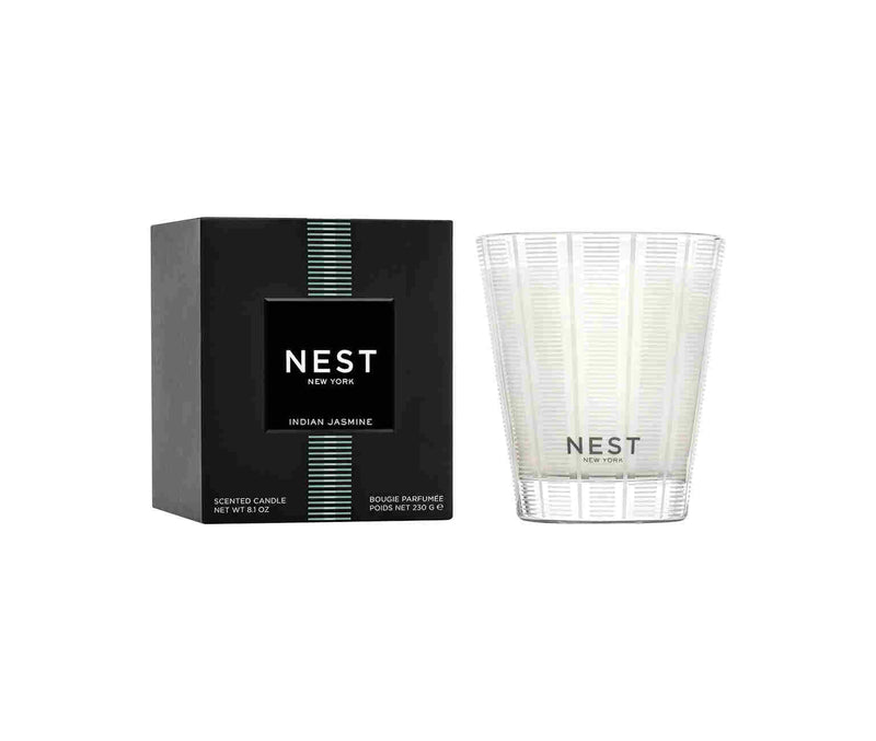 NEST Classic Scented Candle 8.1 OZ - Indian Jasmine