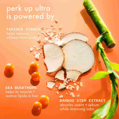 amika perk up ultra oil control dry shampoo 5.3 oz