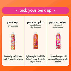 amika perk up ultra oil control dry shampoo 5.3 oz