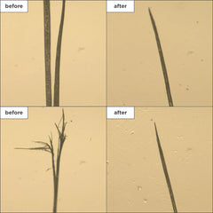 Briogeo Don't Despair, Repair! strengthening treatment oil 1 fl. oz.