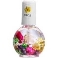 BLOSSOM scented cuticle oil HIBISCUS .42 oz